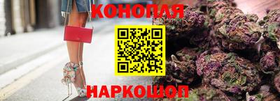 сатива Будённовск