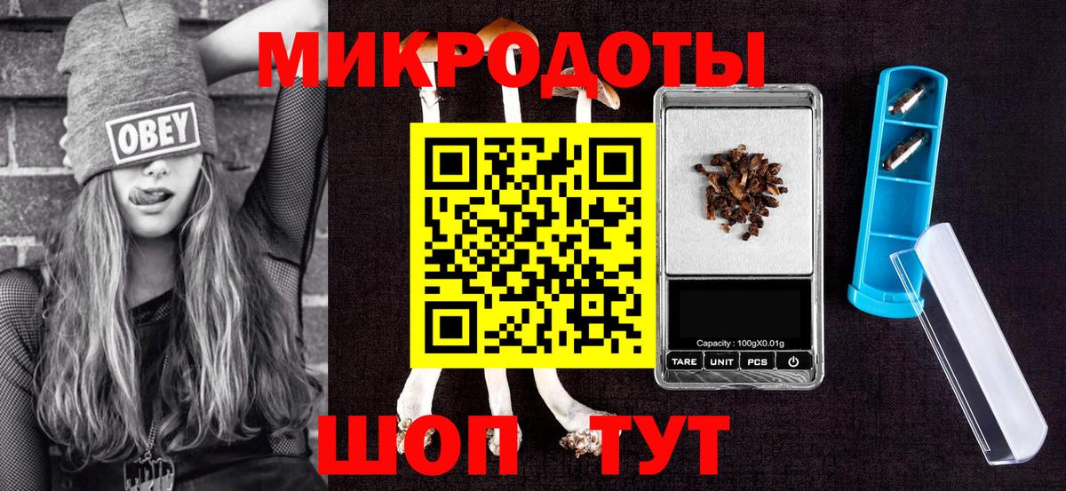 Советская Гавань  Псилоцибиновые грибы мухоморы  Вход с VPN 